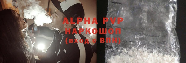 гашик Алексин