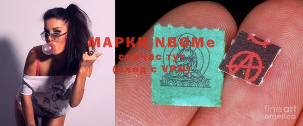 гашик Алексин